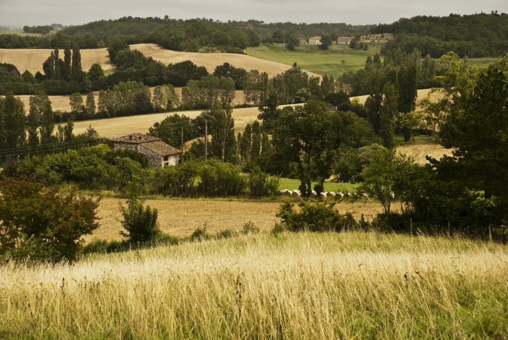 Landscape of a field covered in greenery with hills on the background in Tarn et Garonne in France